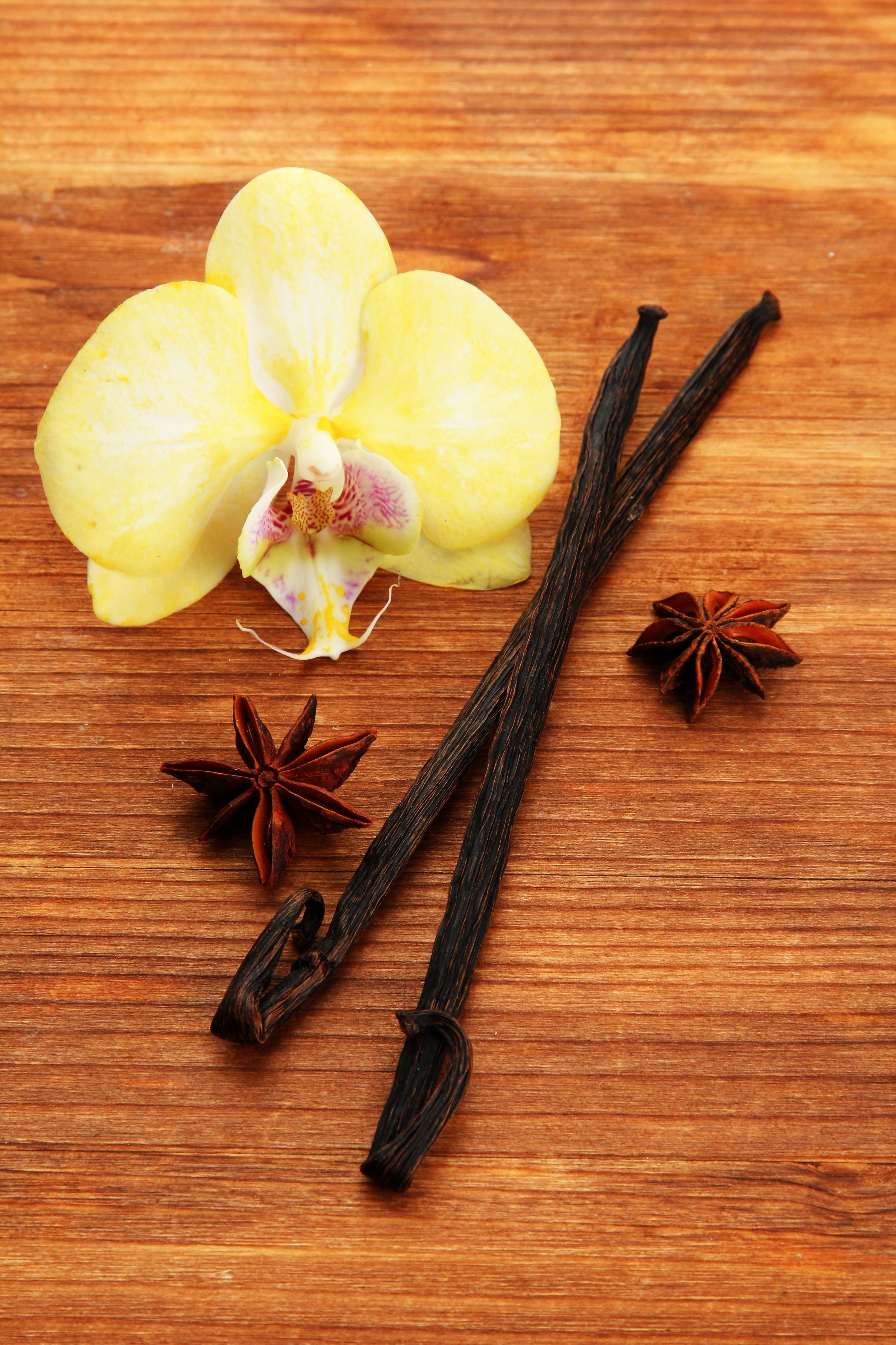 Vainas de vainilla premium con flor
